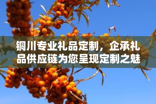 铜川专业礼品定制，企承礼品供应链为您呈现定制之魅力