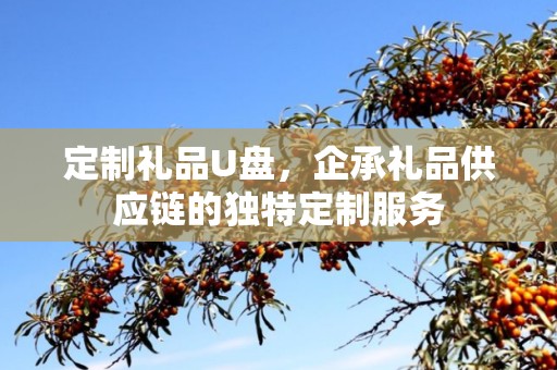 定制礼品U盘，企承礼品供应链的独特定制服务