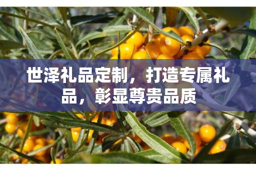 世泽礼品定制，打造专属礼品，彰显尊贵品质